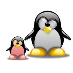 bebe-tux-et-papa-tux.png