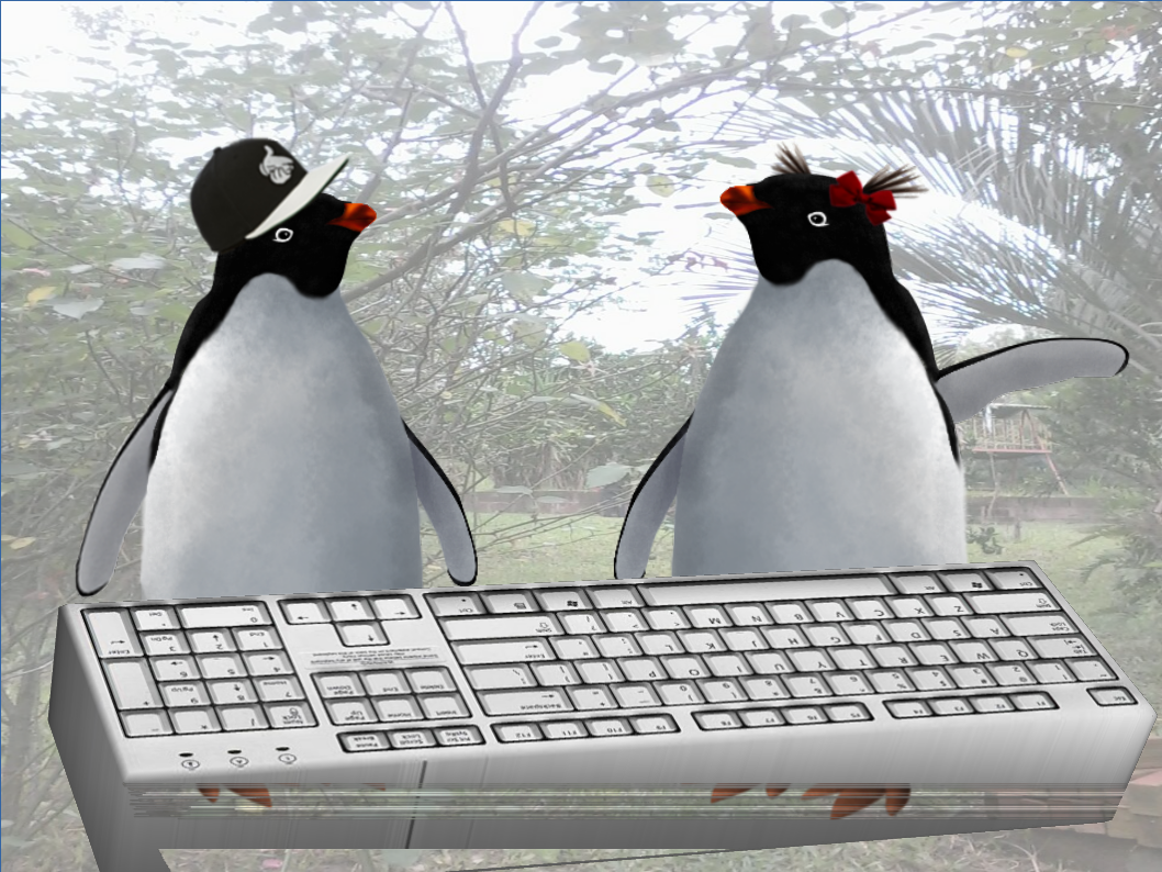 Dois tuxies teclando juntos teclam melhor que um